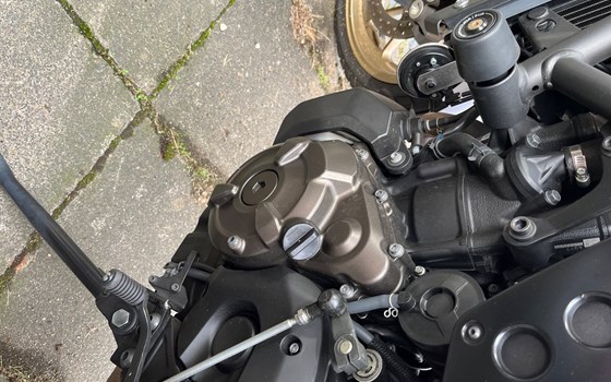 Gebrauchtmotorrad Yamaha XSR700 XTribute - Bild 7