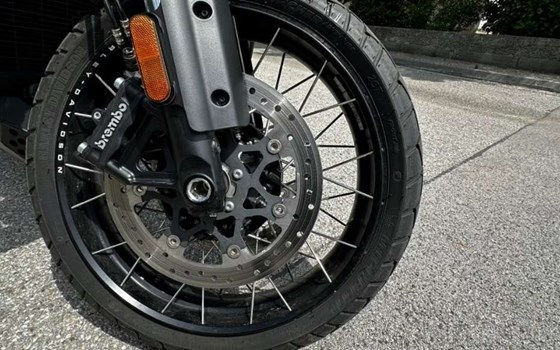 Gebrauchtmotorrad Harley-Davidson Pan America 1250 Special - Bild 13