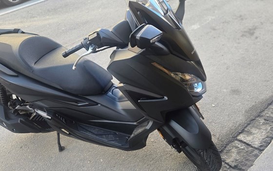 Gebrauchtmotorrad Honda Forza 125 - Bild 4