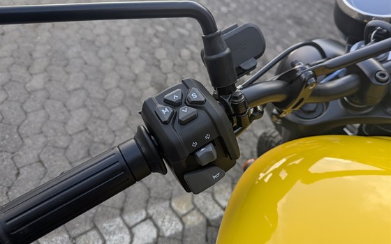 Neufahrzeug BSA Scrambler 650 - Bild 3