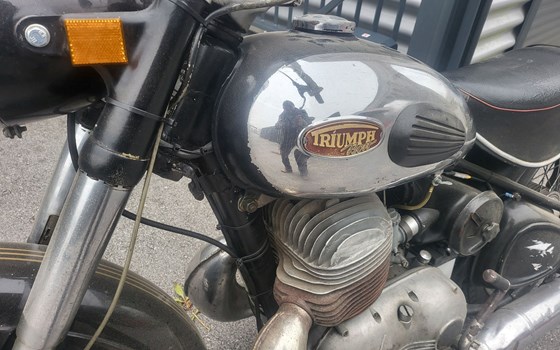 Gebrauchtmotorrad Triumph Boss - Bild 7