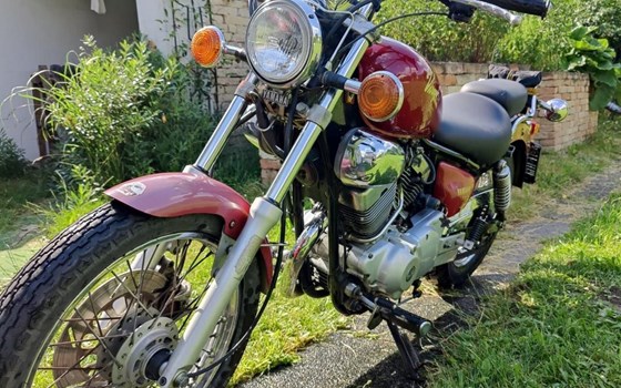 Gebrauchtmotorrad Yamaha Virago 535 - Bild 2
