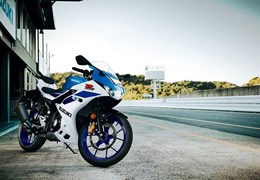 Neumotorrad Suzuki GSX-R125