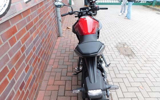 Neufahrzeug Suzuki GSX-8S - Bild 10