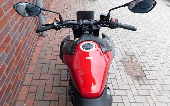 Neufahrzeug Suzuki GSX-8S - Bild 11