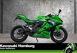 Neumotorrad Kawasaki Ninja ZX-4RR