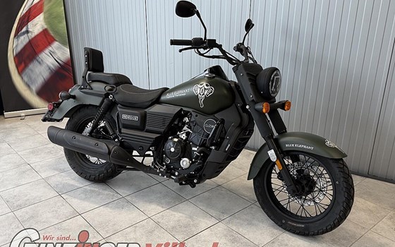Gebrauchtmotorrad United Motors UM Renegade Commando 300 - Bild 3