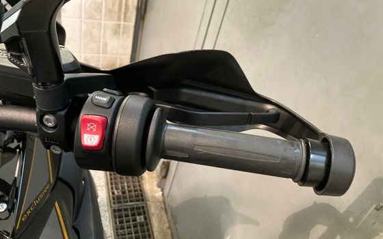 Gebrauchtmotorrad BMW R 1250 GS - Bild 8