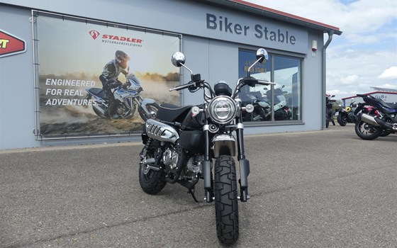 Neufahrzeug Honda Monkey 125 - Bild 6