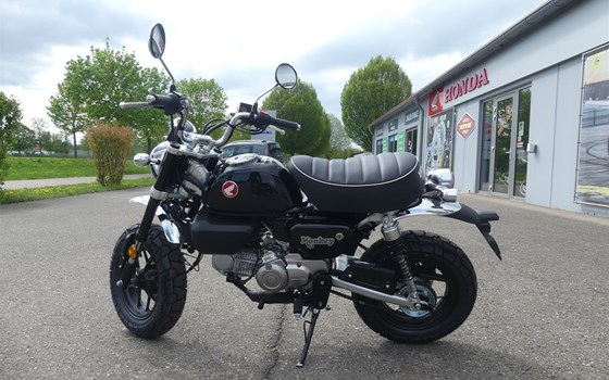 Neufahrzeug Honda Monkey 125 - Bild 7