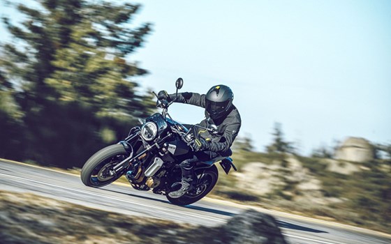 Neufahrzeug Husqvarna Svartpilen 801 - Bild 10