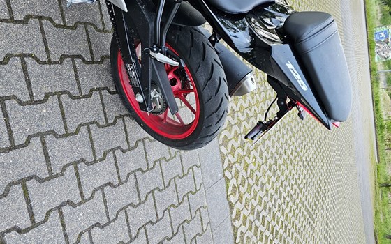 Gebrauchtmotorrad Suzuki GSX-R125 - Bild 3