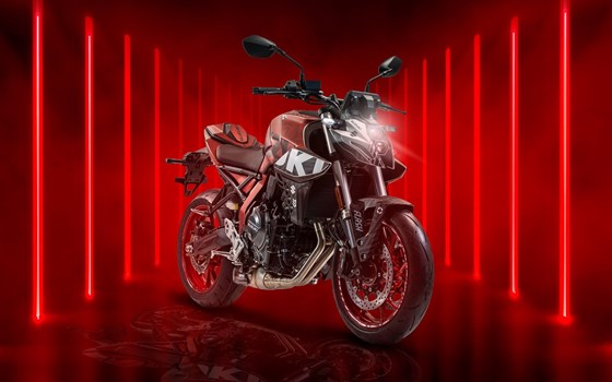 Neufahrzeug Suzuki GSX-8S - Bild 2