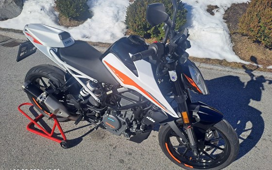 Gebrauchtmotorrad KTM 390 Duke - Bild 7