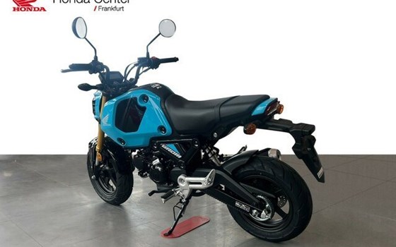 Neufahrzeug Honda MSX125 Grom - Bild 3