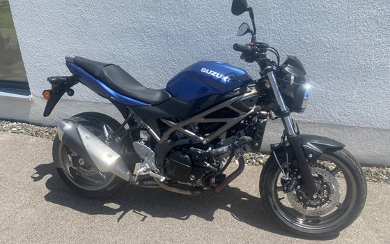 Neufahrzeug Suzuki SV650 - Bild 1