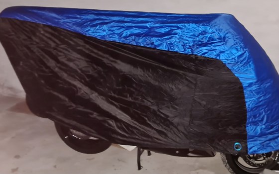 Gebrauchtmotorrad Honda CBR 1100 XX Super Blackbird - Bild 6