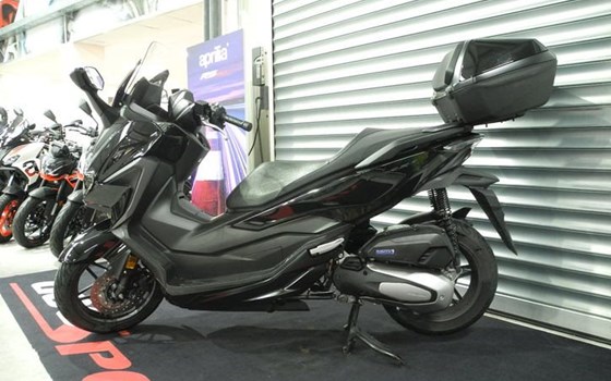 Gebrauchtmotorrad Honda Forza 125 - Bild 2