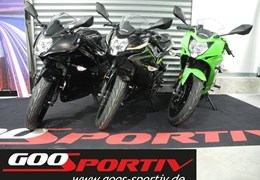 Neumotorrad Kawasaki Ninja 125