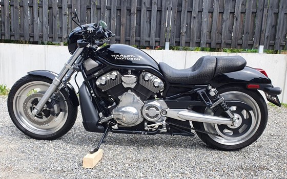 Gebrauchtmotorrad Harley-Davidson V-Rod Night Rod VRSCD - Bild 4