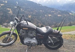 Gebrauchte Harley-Davidson Sportster XL 883 C Custom