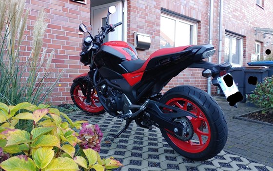 Gebrauchtmotorrad Honda NC750S - Bild 2