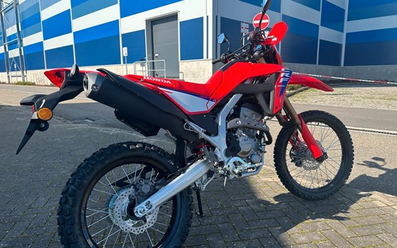 Neufahrzeug Honda CRF300L - Bild 4