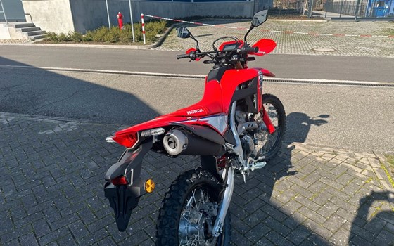 Neufahrzeug Honda CRF300L - Bild 5