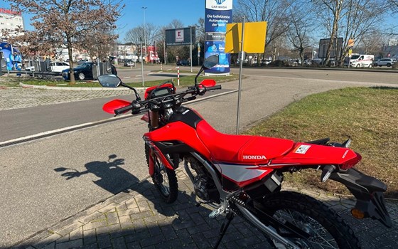 Neufahrzeug Honda CRF300L - Bild 6