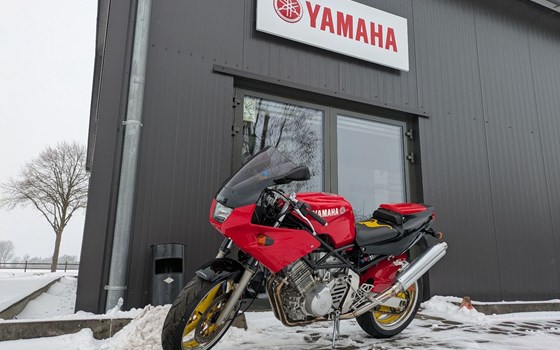 Gebrauchtmotorrad Yamaha TRX 850 - Bild 1