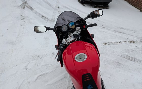 Gebrauchtmotorrad Yamaha TRX 850 - Bild 10