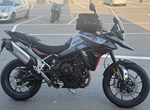 Angebot Triumph Tiger 900 GT
