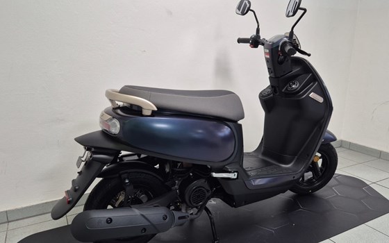 Neufahrzeug Sym CLBCU 50 - Bild 4