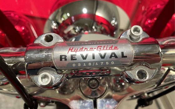 Gebrauchtmotorrad Harley-Davidson Hydra Glide Revival - Bild 8