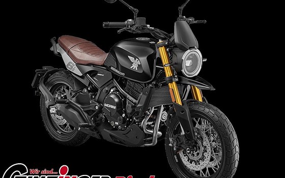 Neufahrzeug Moto Morini 6 1/2 Seiemmezzo SCR - Bild 1