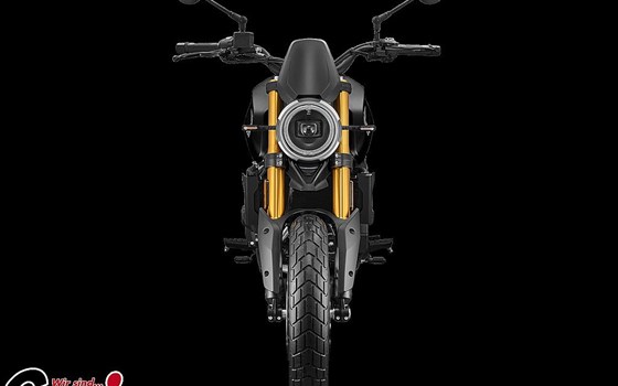 Neufahrzeug Moto Morini 6 1/2 Seiemmezzo SCR - Bild 5