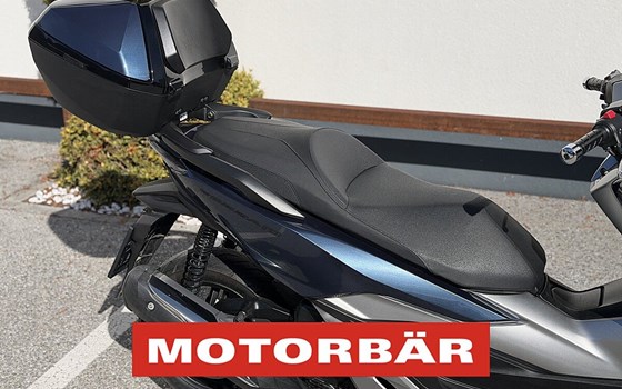 Gebrauchtmotorrad Honda Forza 300 - Bild 5