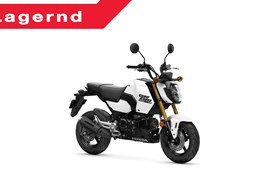 Neumotorrad Honda MSX125 Grom