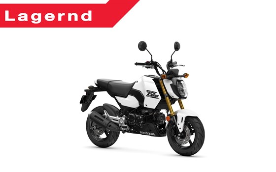 Neufahrzeug Honda MSX125 Grom - Bild 1