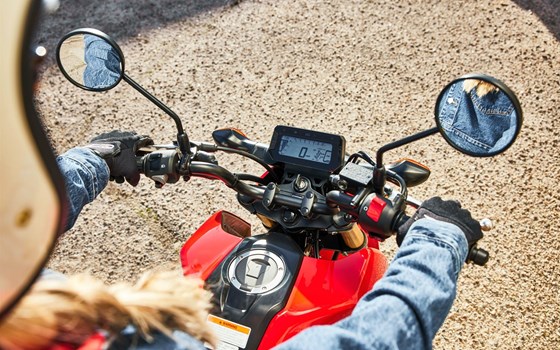 Neufahrzeug Honda MSX125 Grom - Bild 7