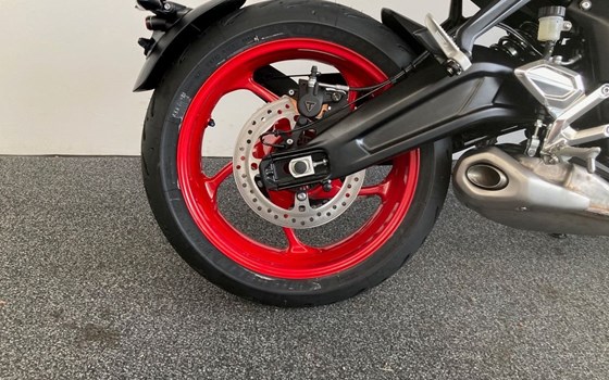 Neufahrzeug Triumph Trident 660 Triple Tribute - Bild 10