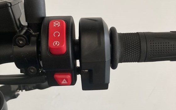 Neufahrzeug Triumph Trident 660 Triple Tribute - Bild 17