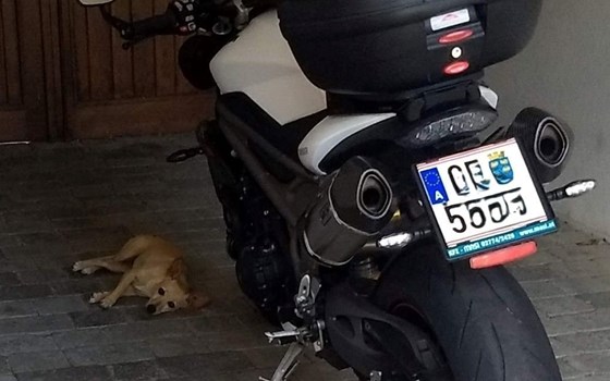 Gebrauchtmotorrad Triumph Speed Triple RS - Bild 7