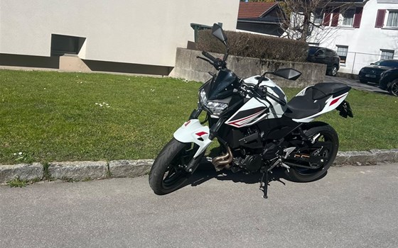 Gebrauchtmotorrad Kawasaki Z 400 - Bild 3