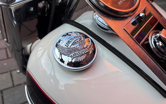 Gebrauchtmotorrad Harley-Davidson Softail Nostalgia FLSTN - Bild 10