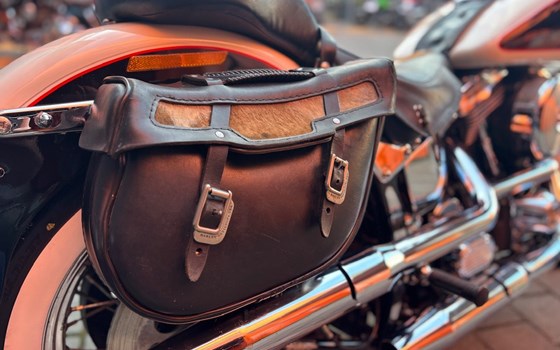 Gebrauchtmotorrad Harley-Davidson Softail Nostalgia FLSTN - Bild 4