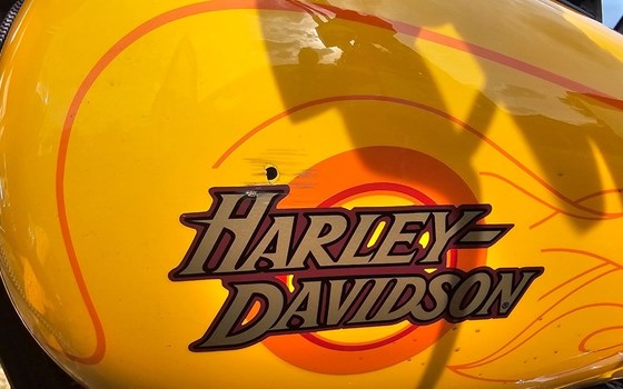 Gebrauchtmotorrad Harley-Davidson Dyna Wide Glide FXDWG - Bild 5