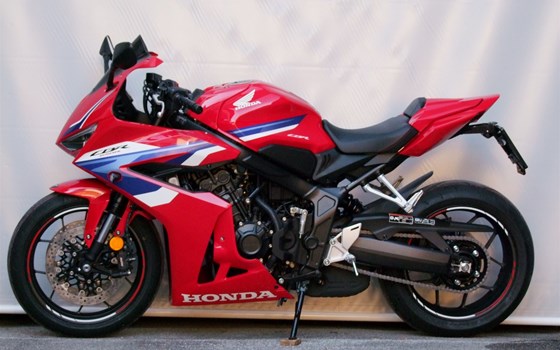 Neufahrzeug Honda CBR650R E-Clutch - Bild 3