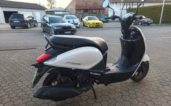 Gebrauchtmotorrad Sym Mio 50 - Bild 3