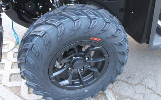 Neufahrzeug CFMOTO CFORCE 450 S - Bild 11